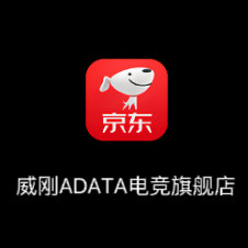 威刚ADATA电竞旗舰店